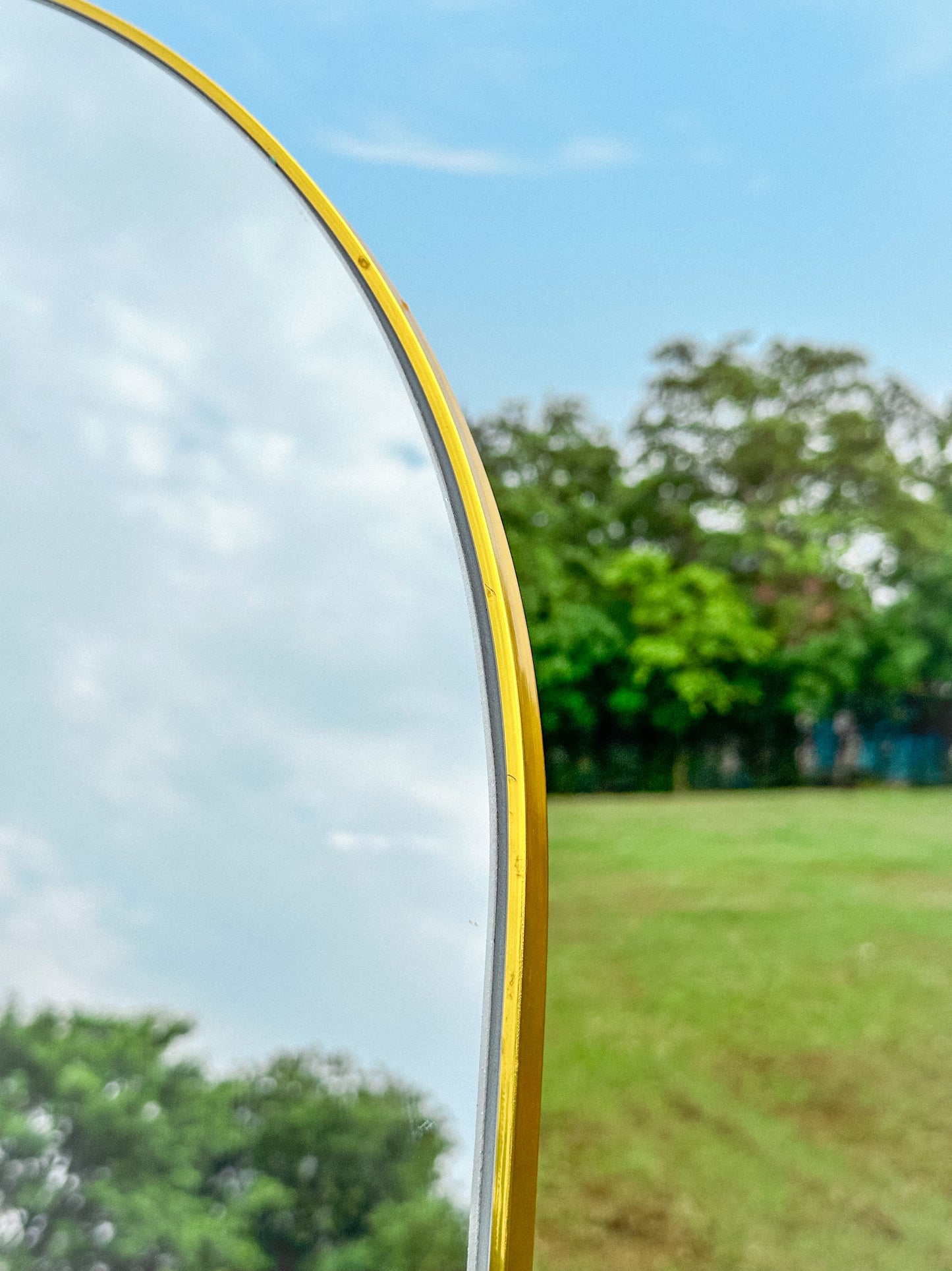 The Seraphine - Full Length Mirror - 24x60 inches